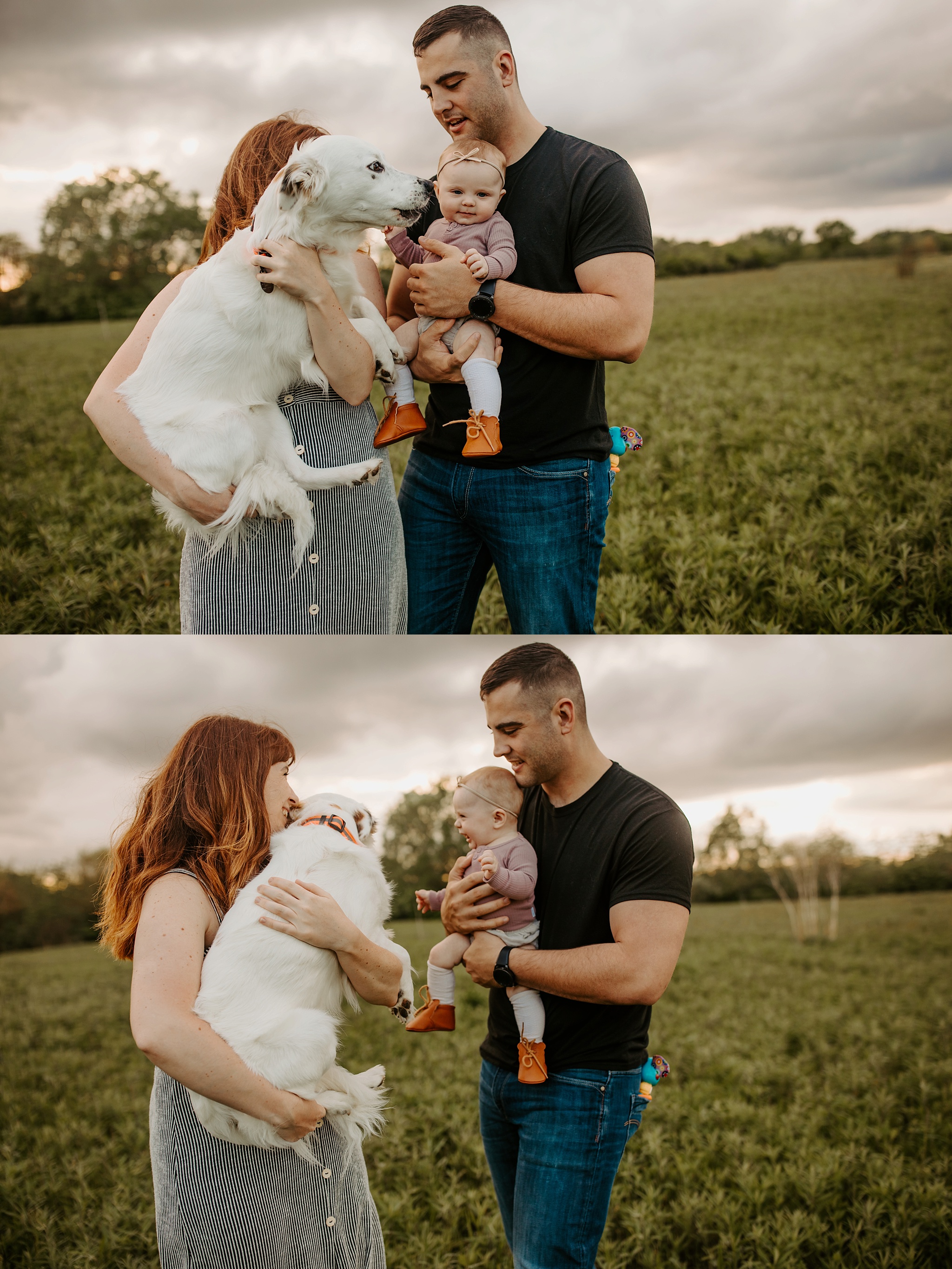 Cutest family session of three plus pup. Chicagoland Family Photographer. Krystal Richmond Photography